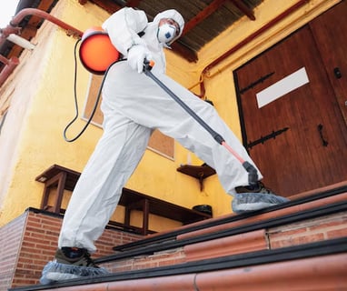 mold removal chandler az