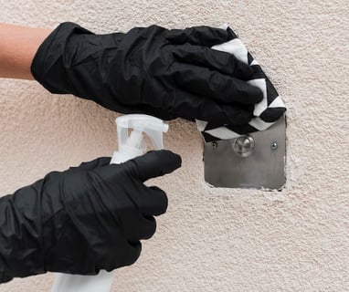 mold remediation chandler