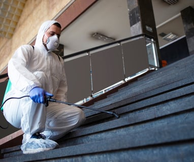 mold removal chandler