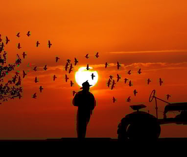 aposentadoria segurado especial pequeno produtor rural aas aposentadorias