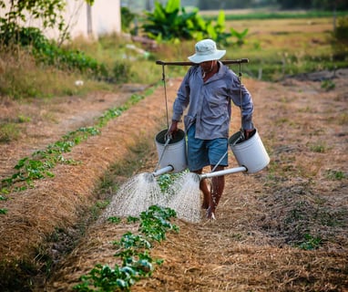 aposentadoria híbrida
