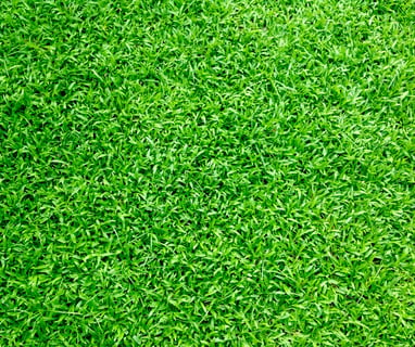 artificial grass