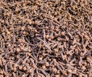 Clove spices photo Jolinaecotours