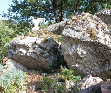 Some garden rocks.