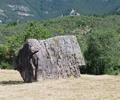 A giant 'perched block.' 