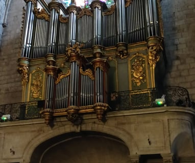 The magnificent Cathedral organ