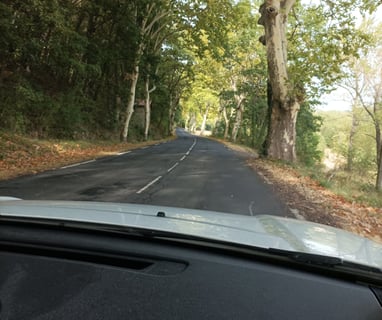 Plane leaves gather at the sides of the road