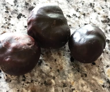 Old conkers from last year