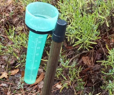 Rain gauge