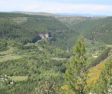 Our road leading up to the Causses du Larzac