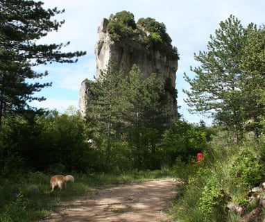 Walking past the 'Roc d' Eglise. with Simba  our dog.