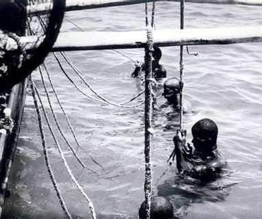 The Story of Enslaved African Pearl Divers | African American Maritime ...