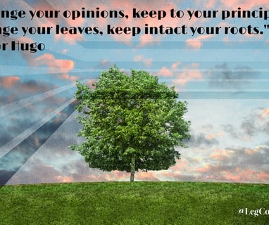 Change your opinions, keep to your principles; change your leaves, keep intact your roots. Victor H