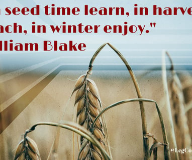 In seed time learn, in harvest teach, in winter enjoy. William Blake