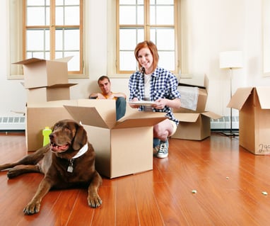 a woman sitting on a couch with a dog in a box