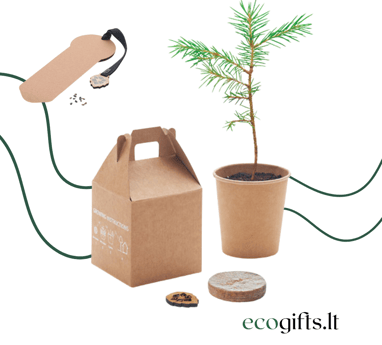Ekologiškos ir pasodinamos verslo dovanos | ecogifts.lt 