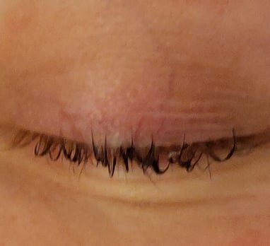 Lashlift Behandling