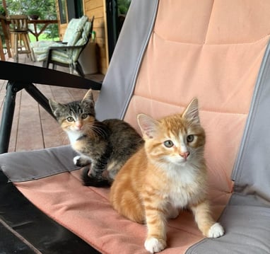 Roxi & Tucker