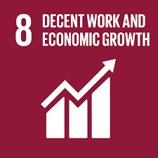 SDG 8 