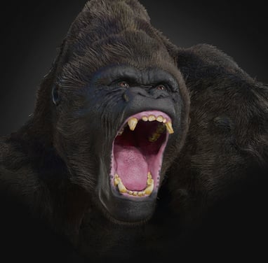 David Janssens - Gorilla