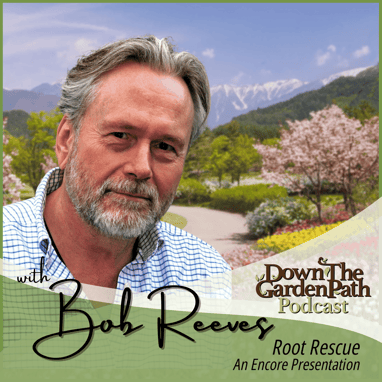 Matthew Dressing Root Rescue with Bob Reeves Down the Garden Path Podcast