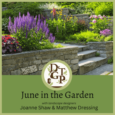 Matthew Dressing Down the Garden Path 