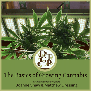 Matthew Dressing Down the Garden Path Podcast The Basics of Growing Cannabis Sarah Osterlee Empress