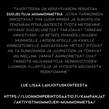 lahjoituskohde, luonnonperintösäätiö, mummonmetsä, aktivistimummot, vastuullisuus, hyväntekeväisyys