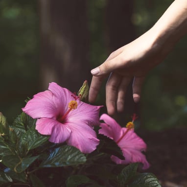 Image by: cameron-ahlvers on unsplash