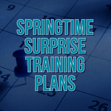 runDisney Springtime Surprise Race Weekend Galloway Training Plans