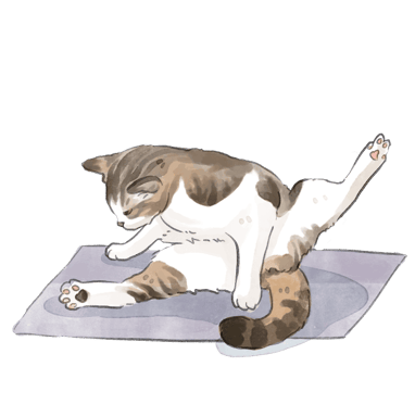 a cat is sitting on a mat