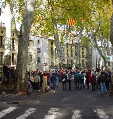 Céret , dancing la sardaigne under the plane trees