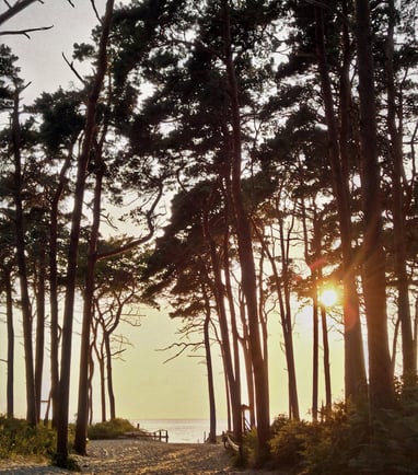 Weststrand 