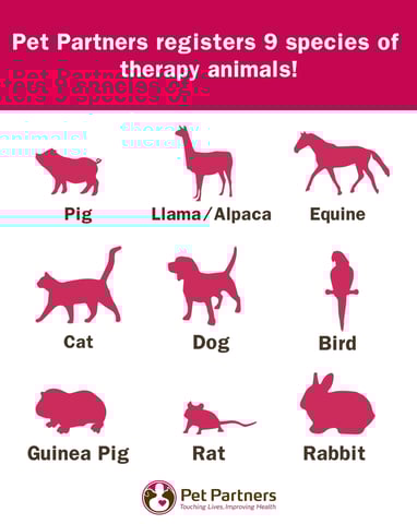 Pet Partners chart showing the nine species of animals that can be registered for therapy visits.