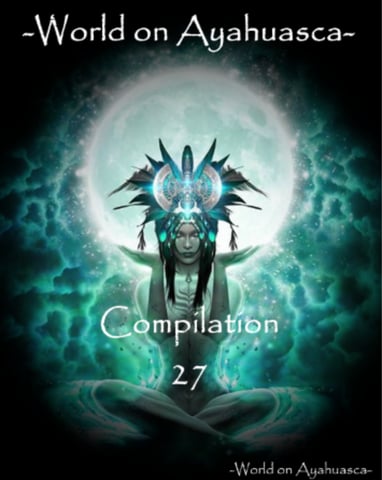 World on Ayahuasca 27