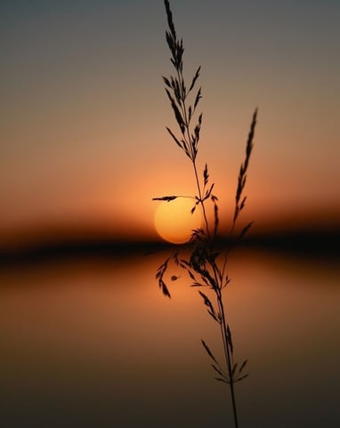 summer sun