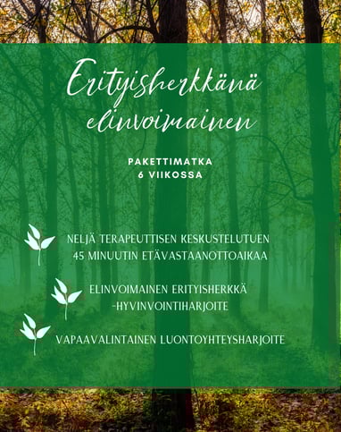 terapeuttinen keskustelutuki, erityisherkkyys, hyvinvointiharjoite, luontoyhteysharjoite