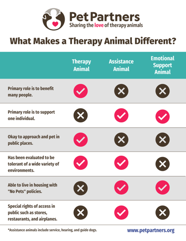 Pet Partners Graphic "What makes a therapy Animal different?"