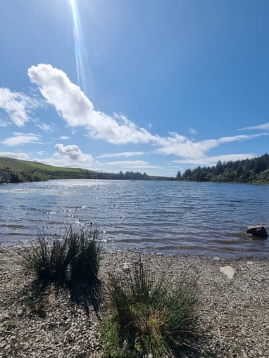 Llyn Pendam in the sunshine, a stunning lake