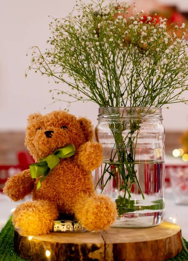 tema teddy