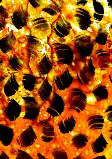‘Abstract Impressions’, Image # 181