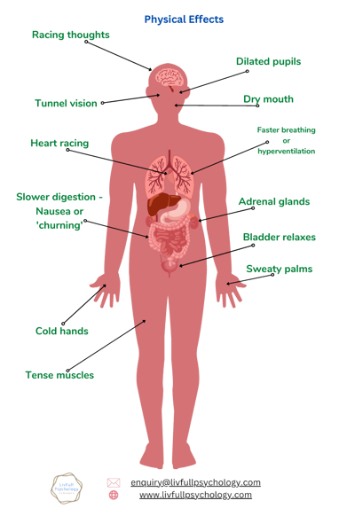 Physical effects on the body of Anxiety