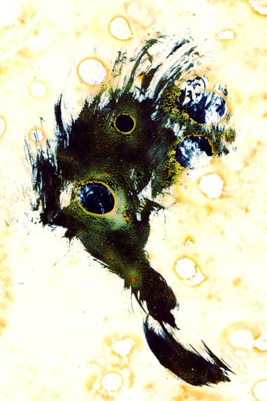 Art LA # 137, ‘’Raindrops Series’’