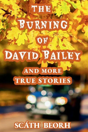 THE BURNING OF DAVID BAILEY by Scath Beorh