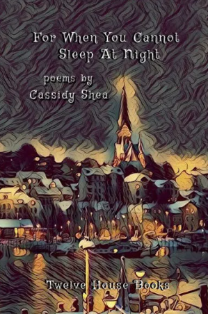 FOR WHEN YOU CANNOT SLEEP by Cassidy Shea
