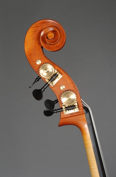 Richard Gonon, luthier