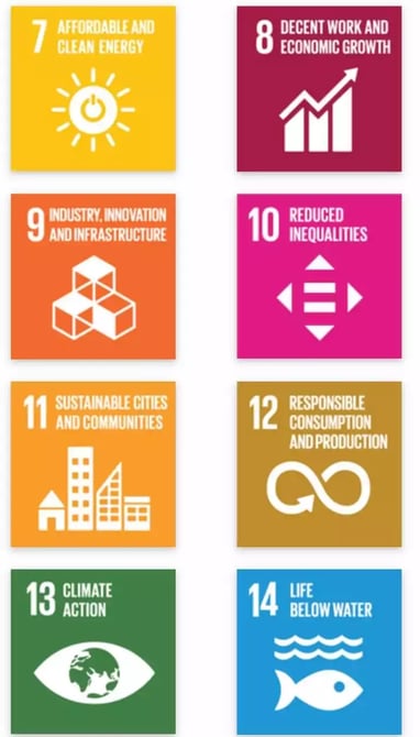 TreeAndHumanKnot covers SDGs - Apply this summer for Sustainable Internship Program