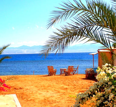 View of the beach flowers and sea at Bedouin star Ras shitan