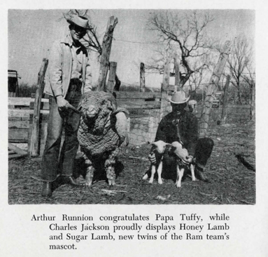 Tuffy with Honey and Sugar Lamb