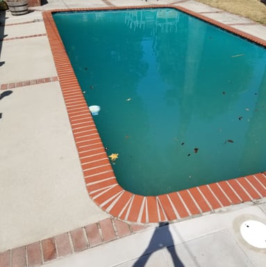 Pool shock
